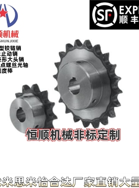 链轮 链条SP60B20-N-20 BSP60B30 SSP60B25 CHE60-200 CHEH60-U