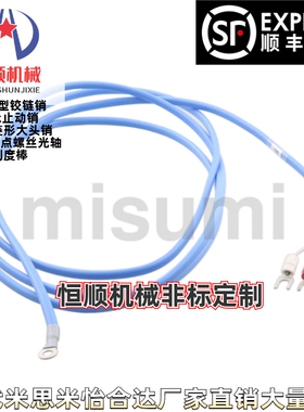 C-MFMT4热电偶5传SSM1/SSM3.2/SSMJ150/MSFK100/MSFJ1.0/1.6/2.3