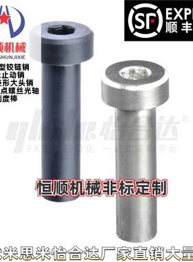 MIP01/02/03/04/05/11/21-D6/8/10/12/13/14/15/16/18-L15铰链销