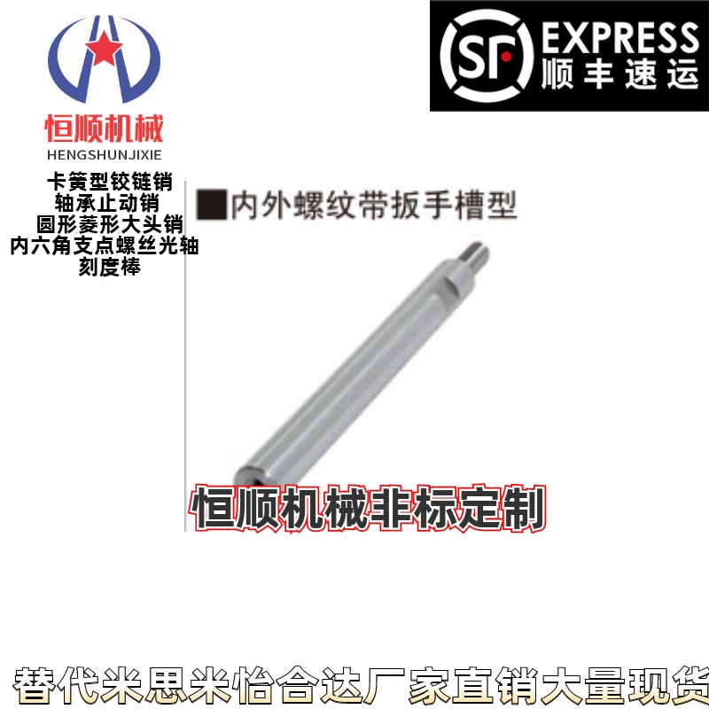 ESH-D8D12D13D16D20D25D30D35D40D50-L20/300-M6-P10-N6-S0导向轴