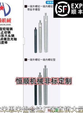 SETRS/SETGRS/PETS/SCD22/D6/D8/D10 导向轴圆形支柱-两端内螺纹