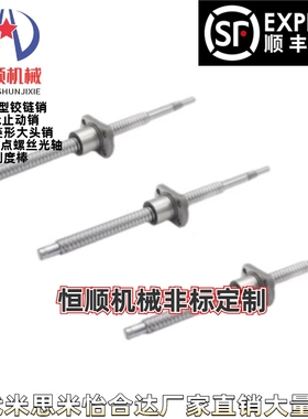 BSWE0802 BSWE1002-L100 200-T8-R K N Y替代滚珠丝杆丝杠