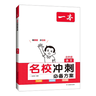 25一本语文数学英语小升初总复习六年级名校冲刺必备方案小升初知识大盘点小学毕业升学考试总复习专项训练小学名师总复习考试训练