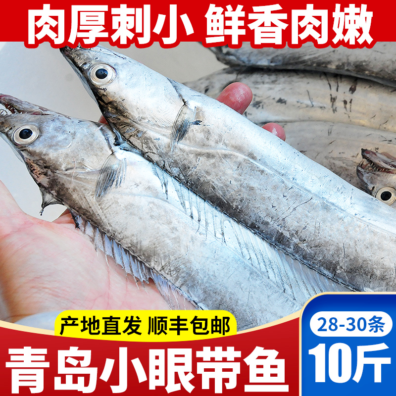 国产青岛海捕小眼带鱼净重10斤