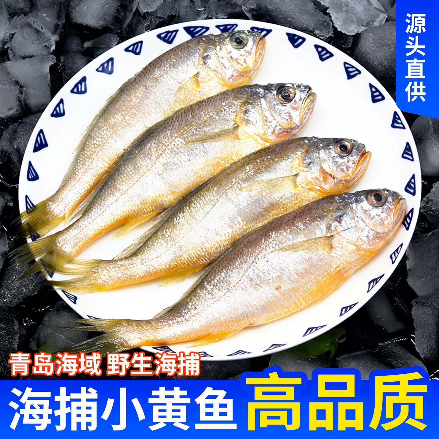 青岛海捕小黄鱼海鱼小黄花鱼新鲜冷冻整箱冰鲜速冻海鲜黄瓜鱼杂鱼