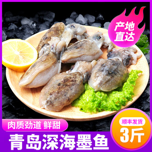 新货青岛大墨鱼新鲜墨鱼仔超大号冷冻海鲜鲜活水产乌贼目鱼3斤鲜