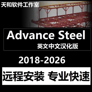 汉化2026 中文版 2024 2018 2023 Advance 2019 Steel软件远程安装