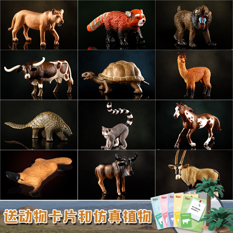 玛奇乐动物模型陆地象龟穿山甲角马摆件儿童仿真动物玩具生日礼物使用感如何?