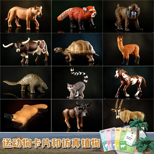 Модель животного, альпака, игрушка, шимпанзе, лиса, енот