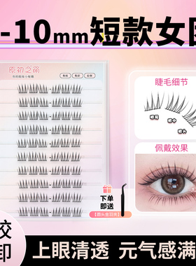 2025新款女团假睫毛女自然仿真8-9-10mm短款韩系日常妆免胶分段式