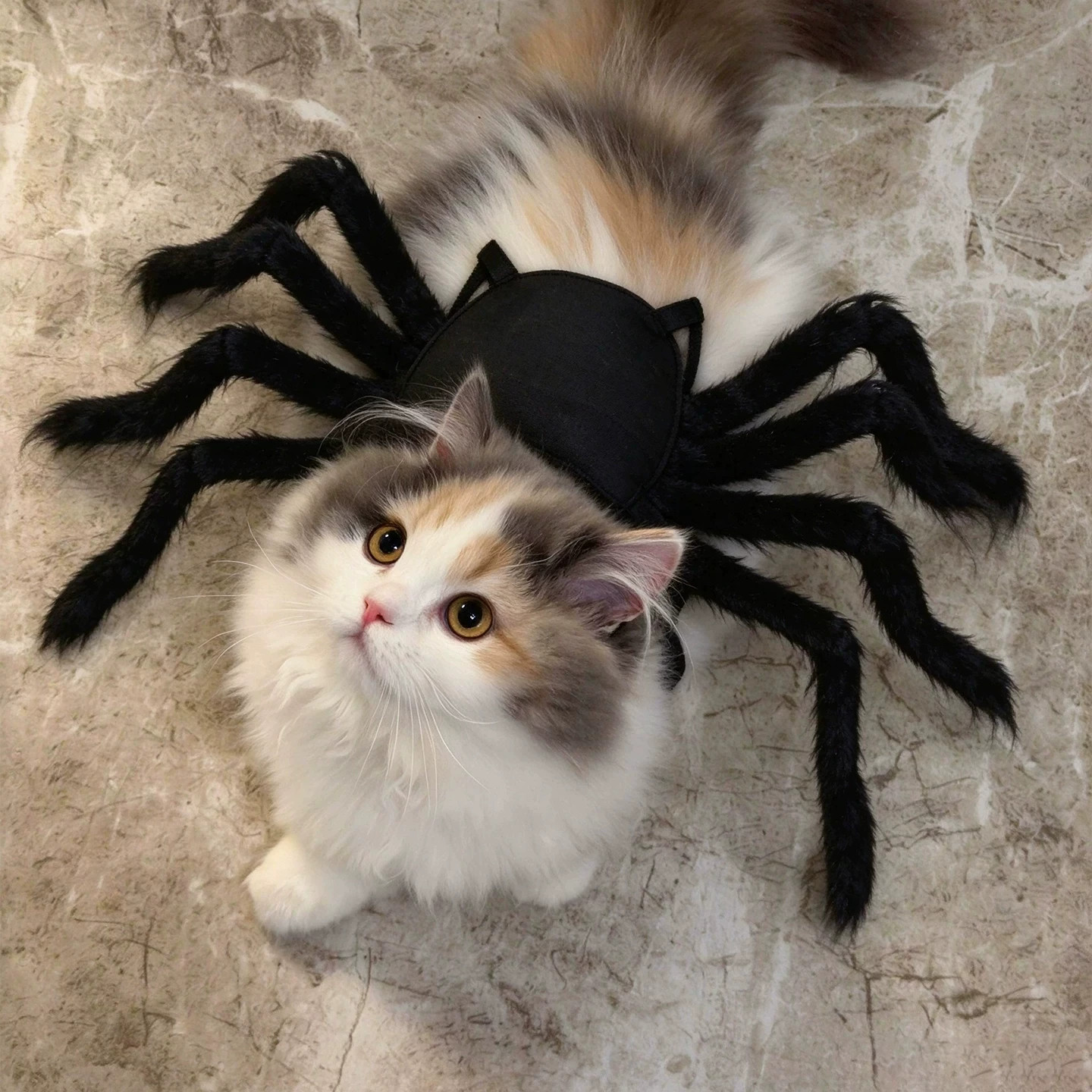 猫衣服蜘蛛变身装恐怖仿真毛绒万圣节服饰小猫小狗cos服拍照道具