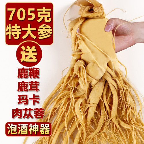 东北特产长白山新鲜人参煲汤泡酒