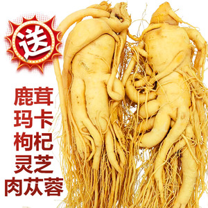 东北长白山人参 保鲜参正宗新鲜人参泡酒滋补煲汤药材批发吉林