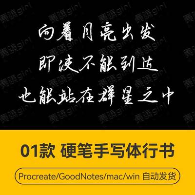 Procreate/Win/GoodNotes/Mac 硬笔手写体行书字体安装包自动发货