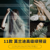 Lr莫兰迪高级绿Lightroom预设PR FCPX达芬奇LUT手机LR滤镜PS风光