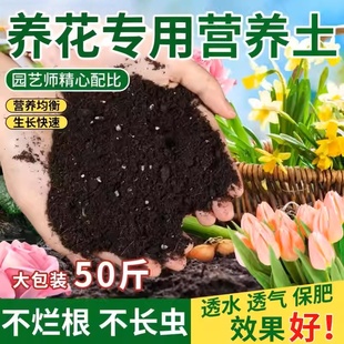 营养土养花专用土种花种树园林通用盆栽营养土农家肥专用花卉土壤