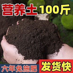 思威博100斤营养土50kg通用型种菜养花专用种植家用厂家直销细腻