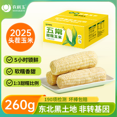 农科玉米农科玉336鲜食玉米8棒东北甜糯玉米棒健身代餐礼盒2080g