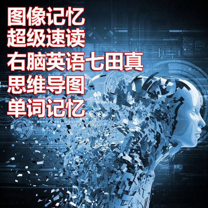 巅峰速读记忆力训练图像记忆速读七田真思维导图单词记忆学习课程
