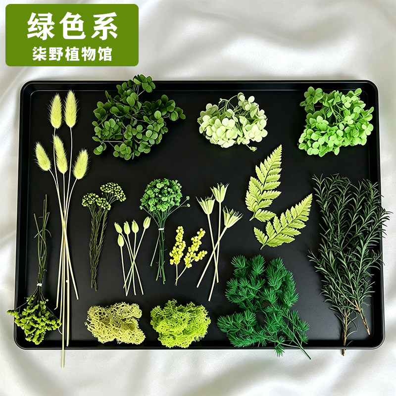 永生花diy材料包绿色系植物花材图片
