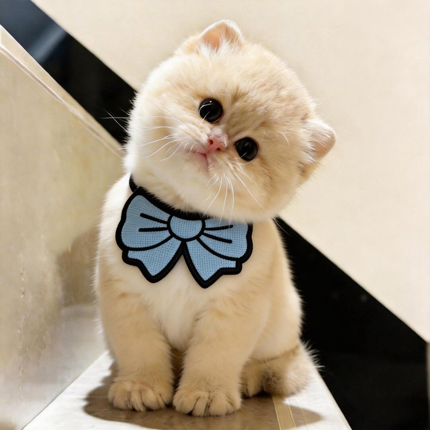 猫咪口水巾围兜小猫围脖脖颈小配饰可爱卡通风格大蝴蝶结拍照可用