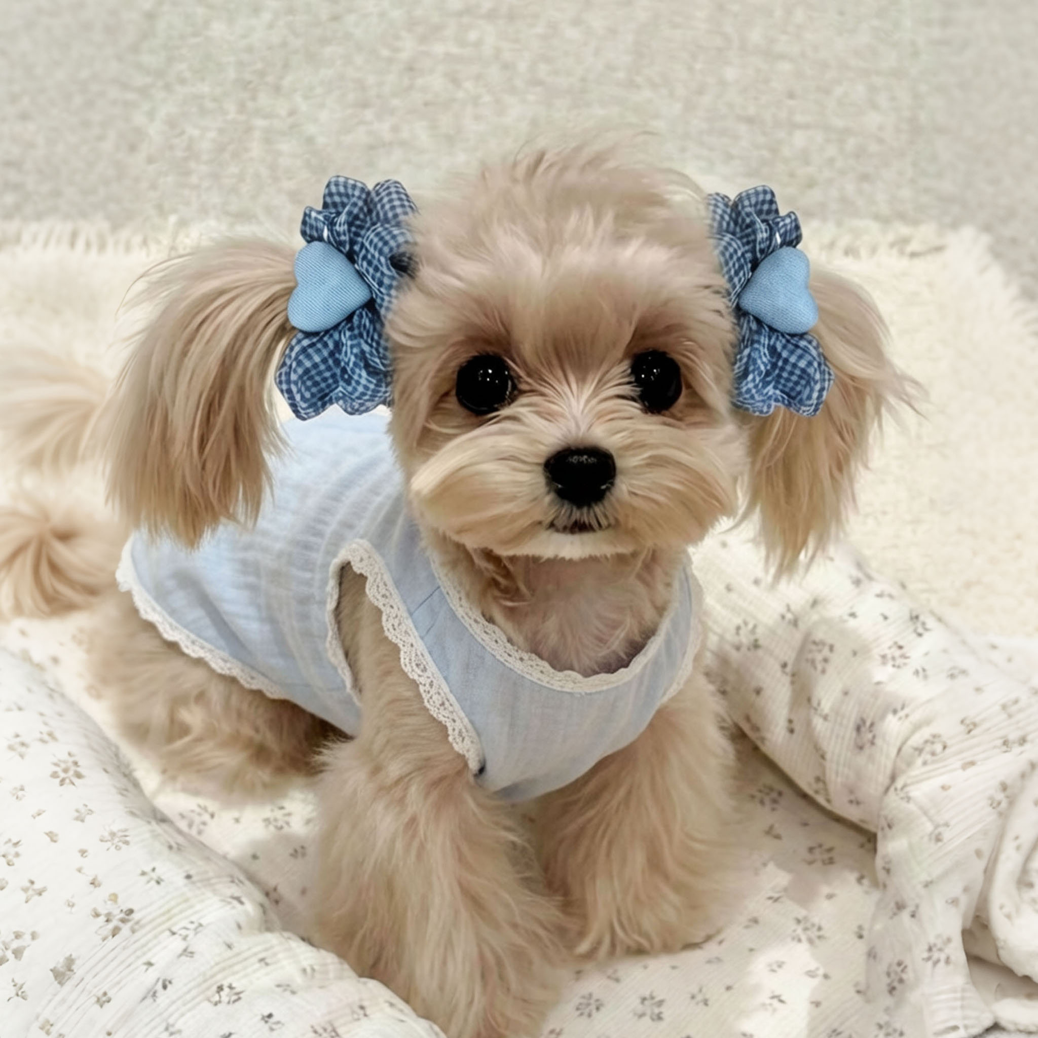 狗狗耳花长耳狗发圈美卡耳套查理王可卡布宠物饰品吃饭防脏毛发绳图片