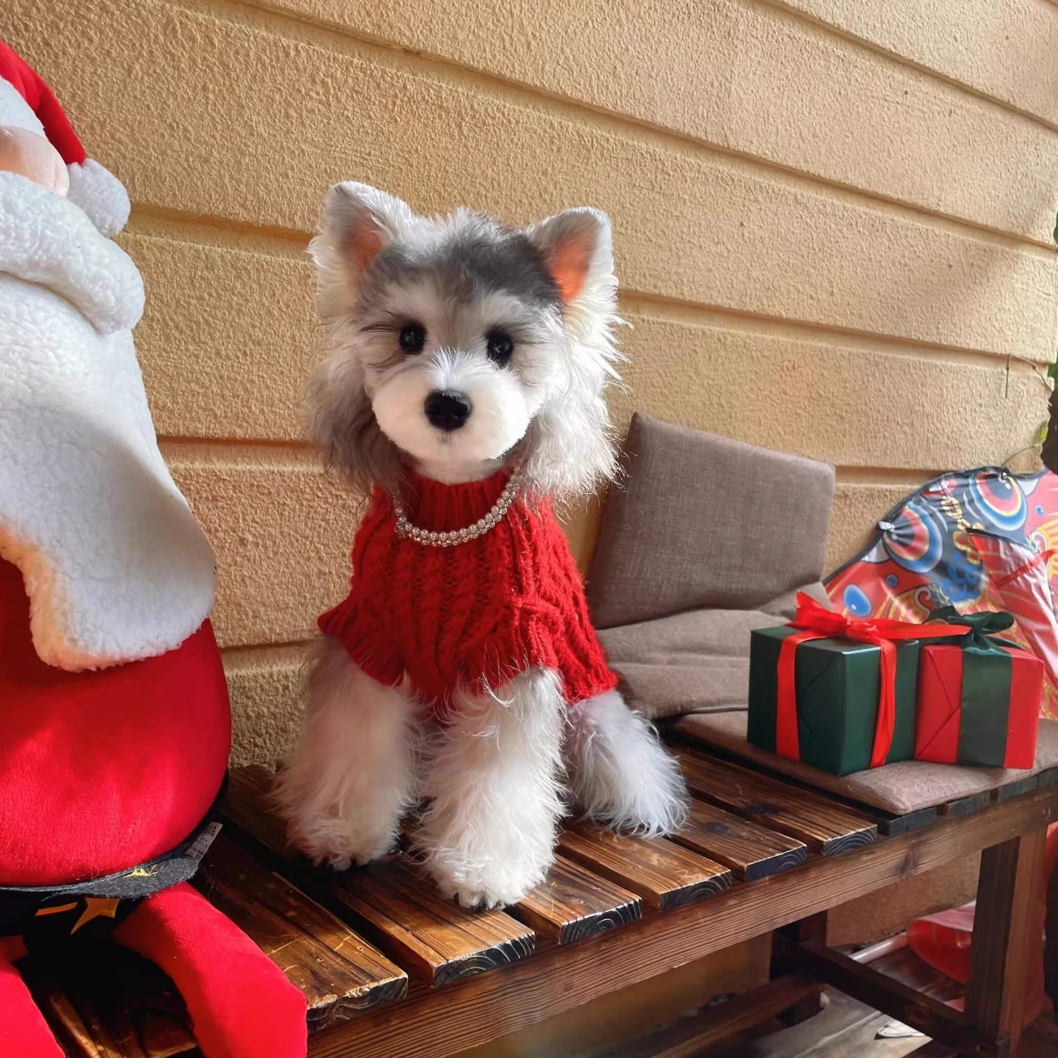 狗狗新年衣服红色毛衣冬季加厚保暖春节酒红色无袖小型犬雪纳瑞,宠物/宠物食品及用品,狗宠物服装/雨衣,淘宝优惠券,粉丝福利购,淘宝优惠卷