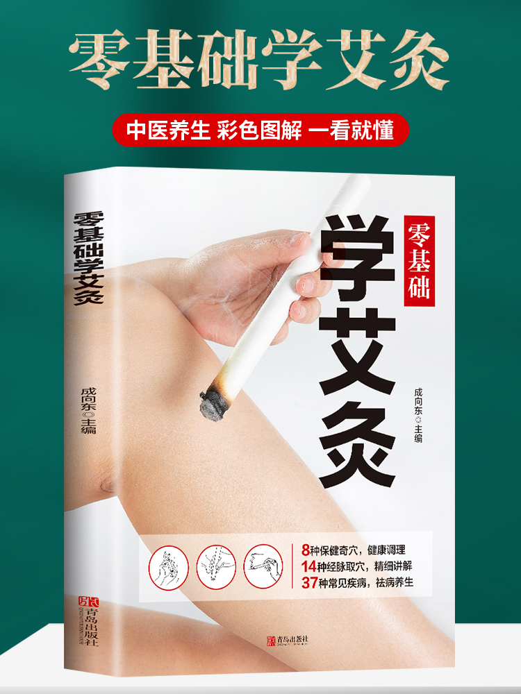 零基础学艾灸医学书籍大全