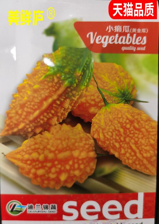 秋冬春四季小濑瓜种子盆栽赖癞葡萄金铃子红娘刺癞甜心果蔬菜种孑