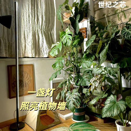 世纪之芯落地侧发光植物补光灯室内彷太阳光全光谱植物生长灯定时