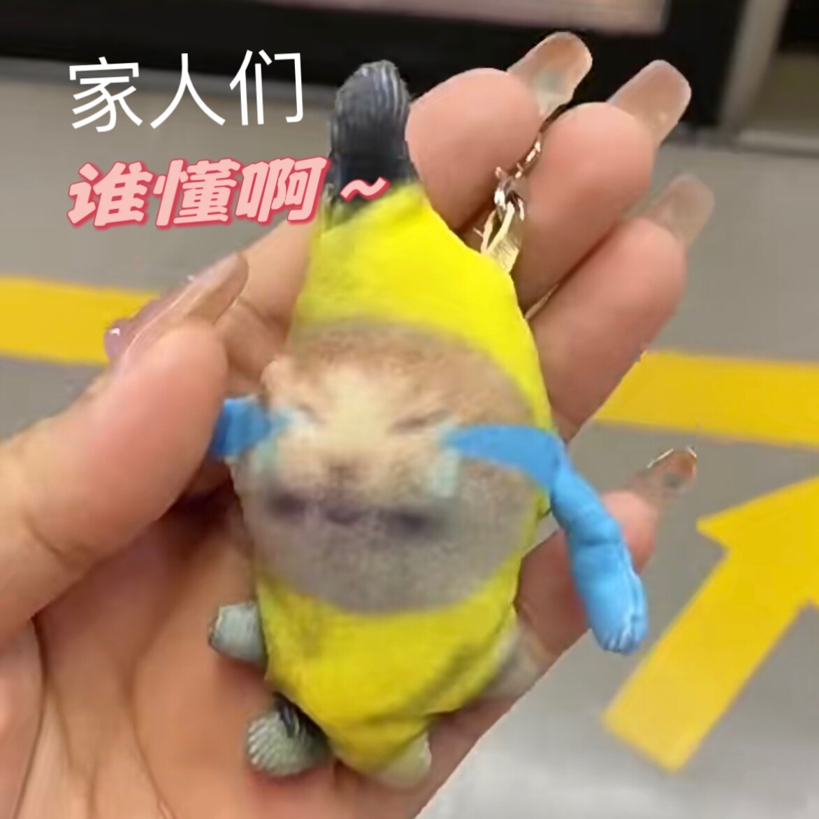 香蕉猫happy猫吱吱叫会说话可爱搞笑创意玩偶包挂件送闺蜜钥匙扣