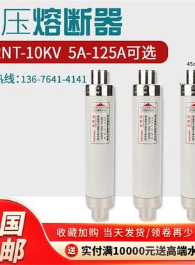 高压限流熔断器XRNT10-12KV10A20A40A50A63安80A100A箱变保险管丝