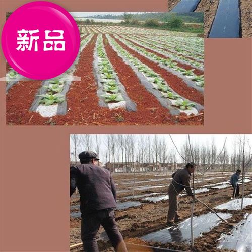 促养膜护大农膜防寒农用黑白n加厚款地温保O温覆盖地薄膜棚用地厂