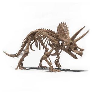 大型仿真三角龙恐龙骨架室内博物馆恐龙骨骼化石展览模型侏罗纪