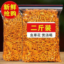 蛹虫草 精选孢子头北金虫草菇煲汤材料 新货虫草花干货100克 正品