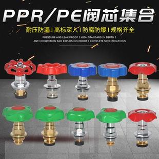 PPRPE截止阀阀芯升降式截止阀闸阀阀芯20 4分25 6分水管管件配件