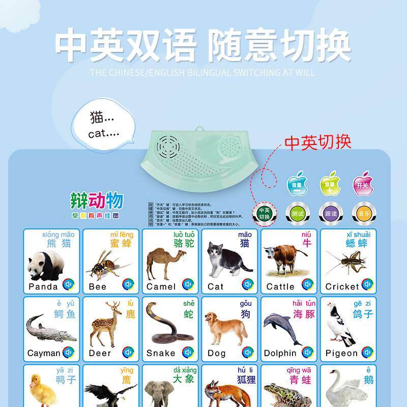 早教会说儿幼儿童墙贴画有声音挂本字认知发话音英语拼音婴挂认图