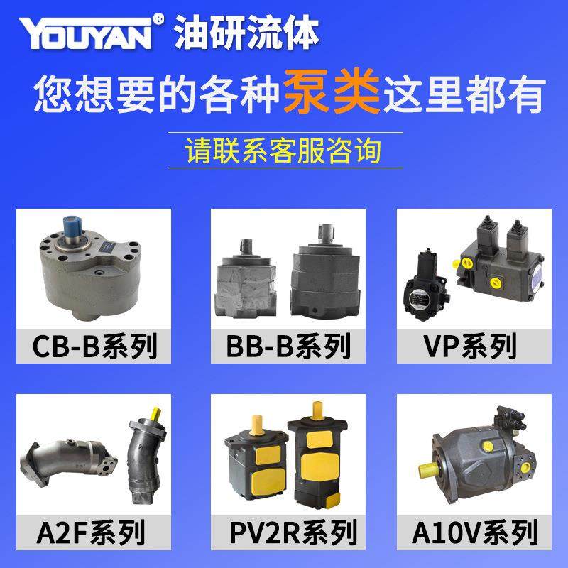 A4VSO71液压125变量40柱塞泵180DRG/250LR/10R-PPB13NOO代rexroth