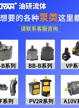 A4VSO71液压125变量40柱塞泵180DRG/250LR/10R-PPB13NOO代rexroth