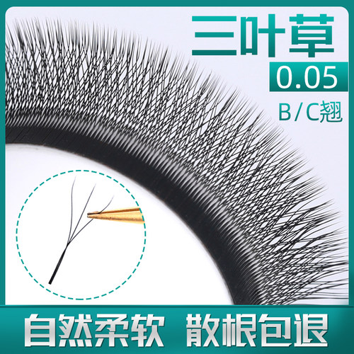 三叶草开花不散根眼睫毛
