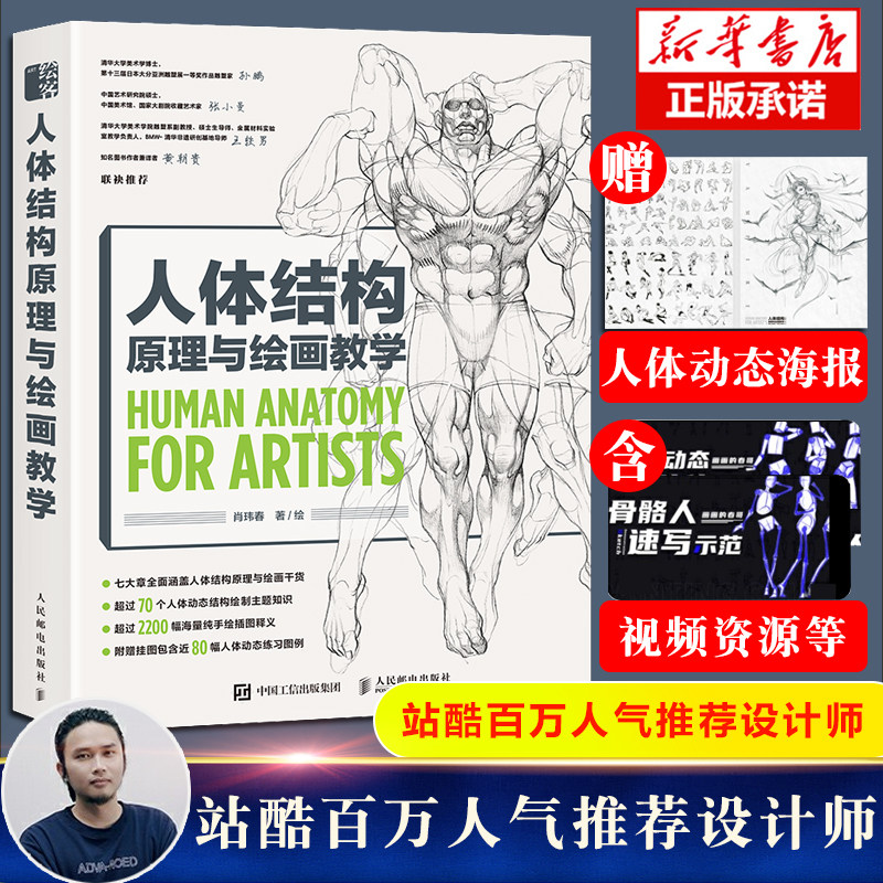 人体结构原理与绘画教学肖玮春 游戏动漫人体结构造型手绘技法人物绘画教程画画的春哥画画入门自学 书籍素描临摹画册正版hmcy图片