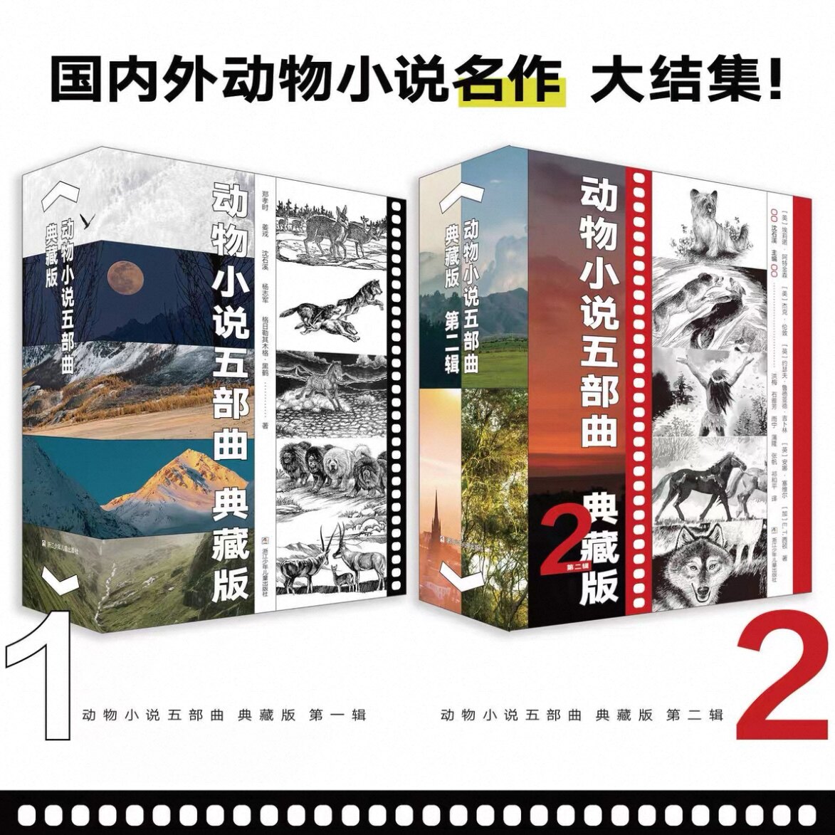 沈石溪动物小说五部曲 典藏版全5册第一辑第二辑可选中国世界合集长白山猎话狼图腾小狼小狼野马归野最后的獒王藏羚群儿童文学