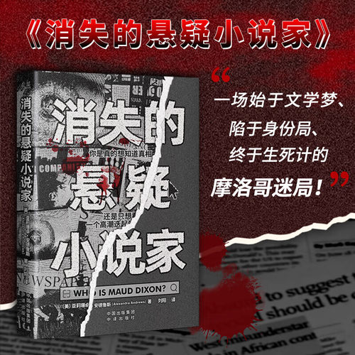 消失的悬疑小说家 [美] 亚莉珊卓·安德鲁斯 著，刘阳 译 中译出版社
