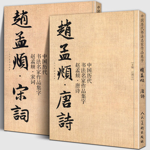 人民美术 全套2册 江锦世繁简对照毛笔临帖集字古诗词行书楷书行草字帖临摹范本大字版 中国历代书法名家作品集字 赵孟頫宋词 唐诗