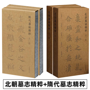 北朝墓志精粹 隋代墓志精粹 第一辑+第二辑 全套20册 北魏西魏卷北周卷书法作品毛笔字帖毛笔书法教程作品书法篆刻历代书法艺术