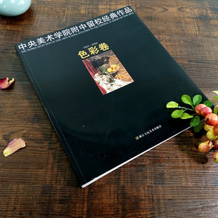 色彩卷中央美术学院附中留校经典作品 央美附中色彩全集临摹大范本水粉静物绘画 色彩人物头像半身像场景色彩造型历年优秀试卷书籍