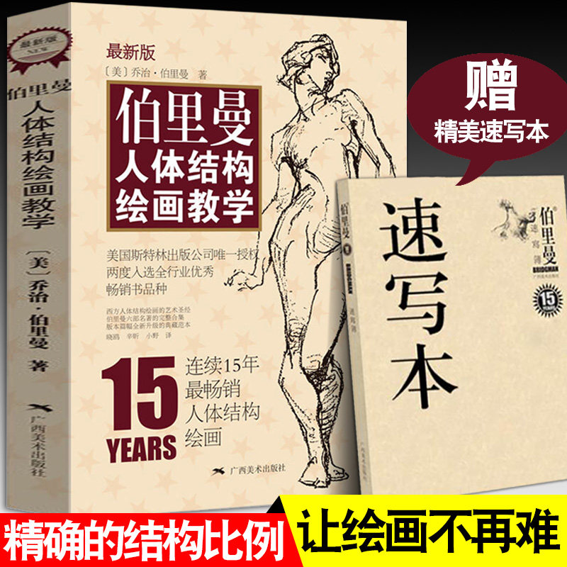 赠速写本 伯里曼人体结构绘画教学(新版)人物素描速写大师临摹赏析基础初级入门提高美术技法教程人体解剖形态艺术画法教材书籍