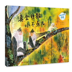 科普百科 雪山精灵滇金丝猴手绘生存故事绘本 珍稀动物在中国 自然科普绘本 社 青岛出版 包邮 正版 秌秋 精 滇金丝猴小不点儿