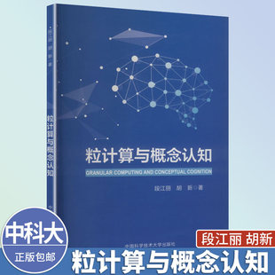 中科大 粒计算与概念认知 段江丽 胡新 中国科学技术大学出版社 粒计算与知识图谱概念认知的交叉研究的背景、现状及近期新成果