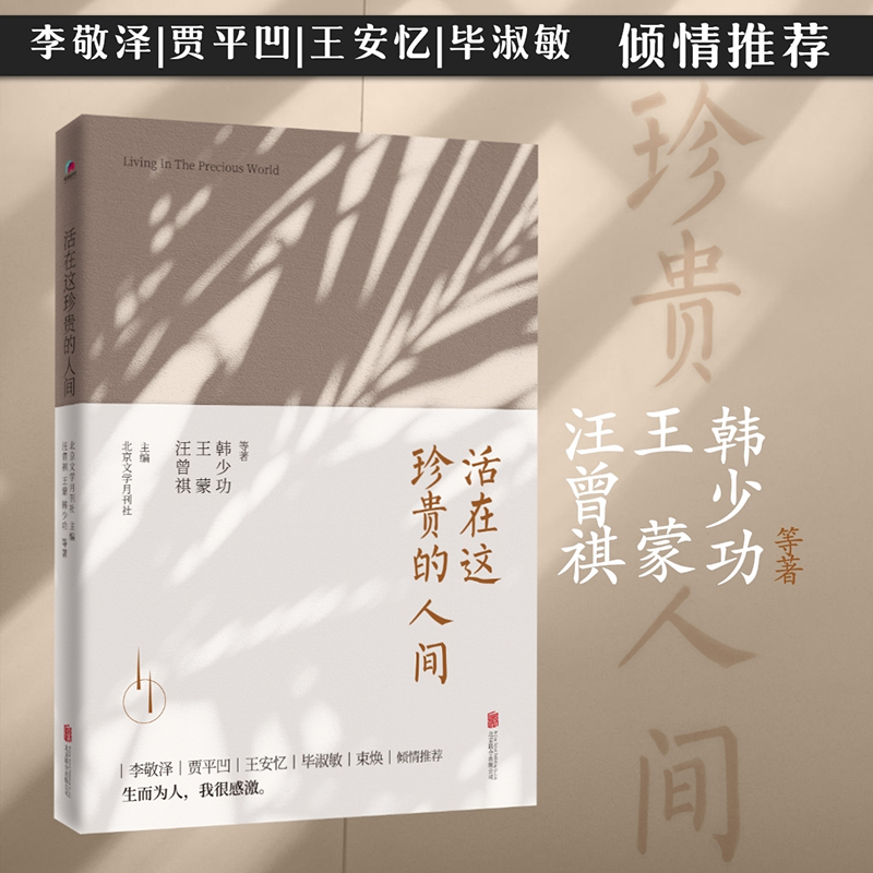 活在这珍贵的人间 汪曾祺 王蒙 韩少功等著 用6小时一口气读完12篇当代短篇小说的代表作 李敬泽 贾平凹 王安忆 毕淑敏 hjsd